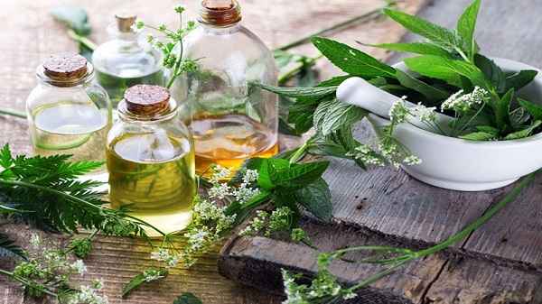 Mỹ phẩm organic và vegan