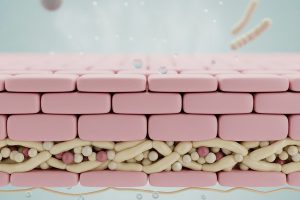 Dấu hiệu hàng rào da bị tổn thương: Nhận biết sớm để phục hồi da đúng cách