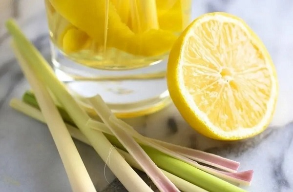 tinh dầu nên dùng cho ô tô