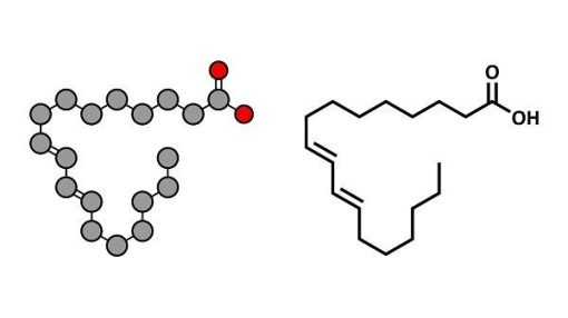 Linoleic Acid là gì?